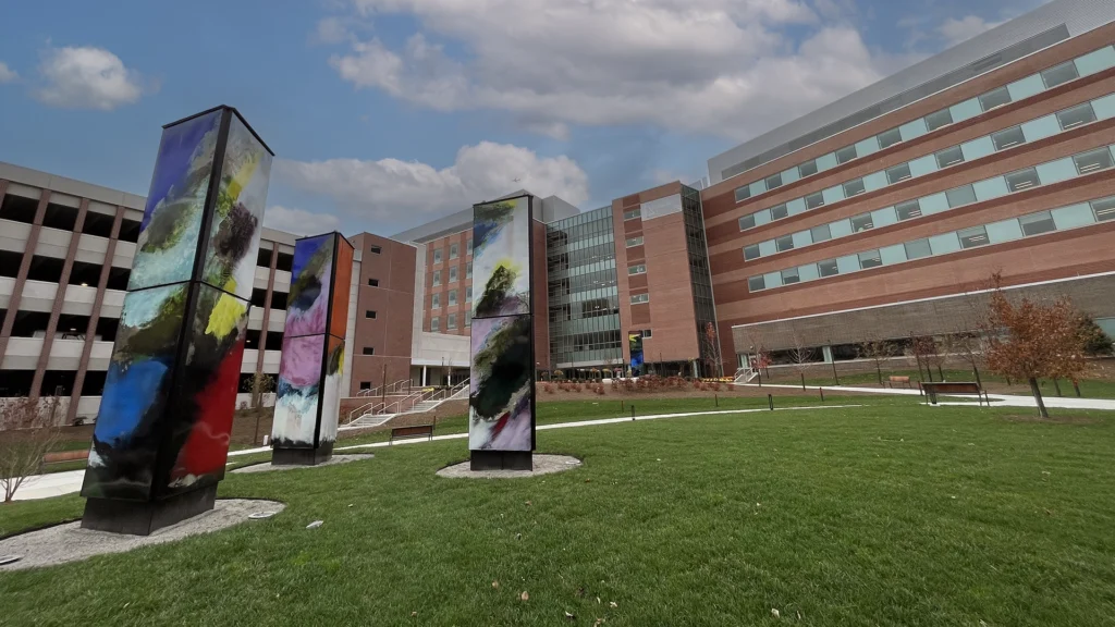 The New Valley Hospital