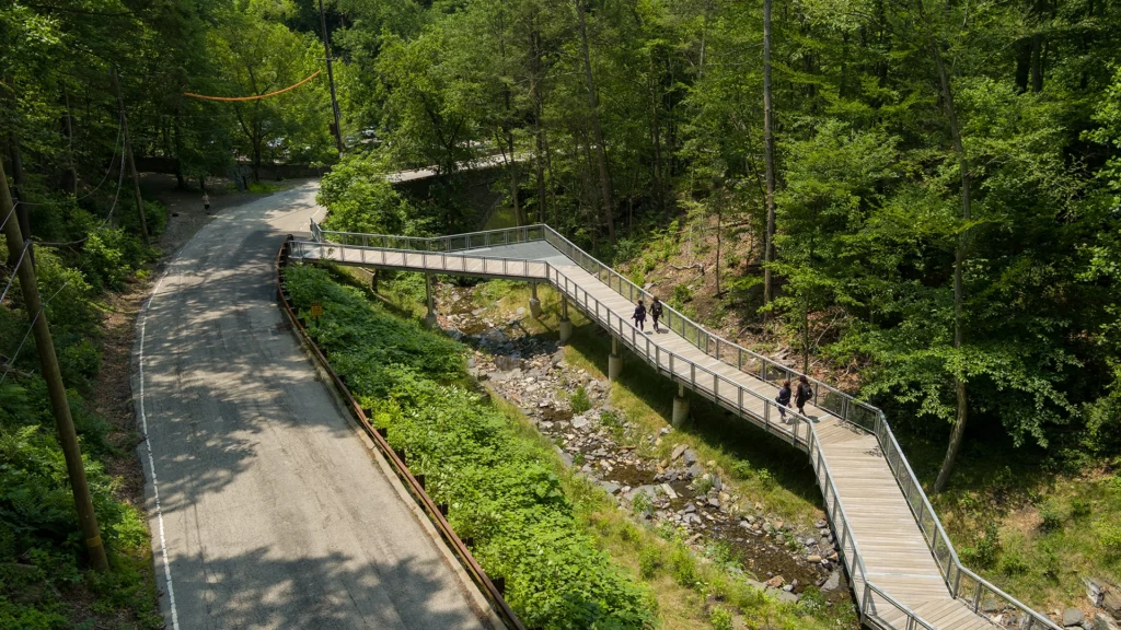 Valley Green Pedestrian Bridge