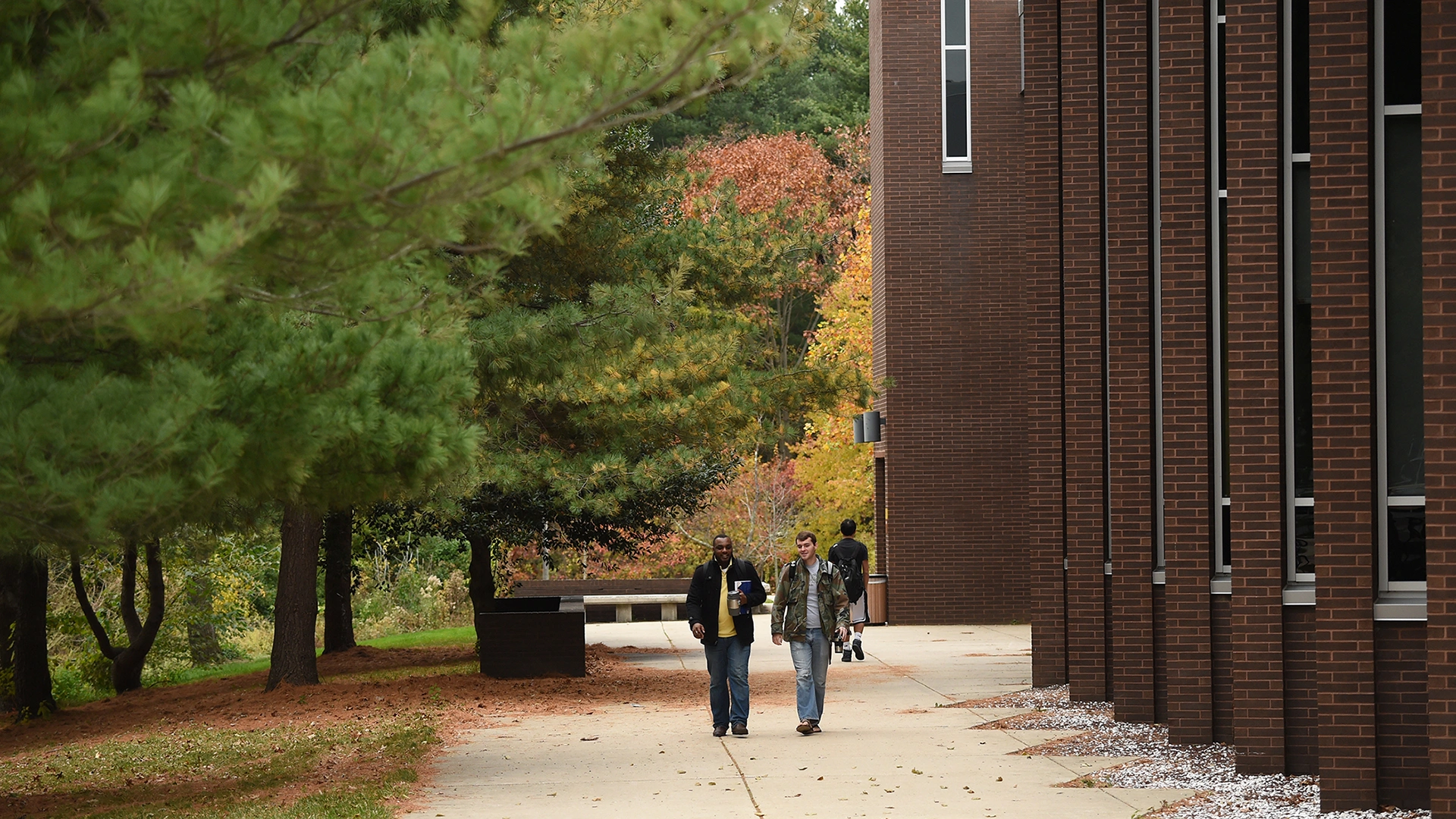 Wilson Hall