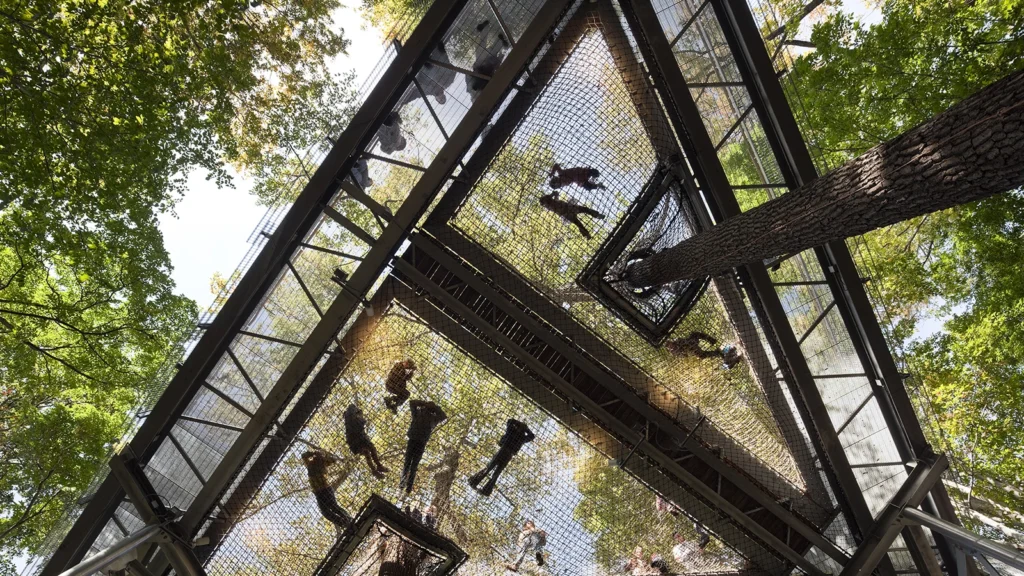 Morris Arboretum Tree Adventure
